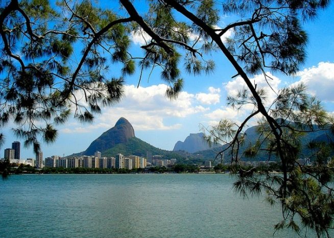 Quem planta, o mundo encanta: o Projeto Pomar da Lagoa está de volta para deixar o Rio de Janeiro mais doce!
